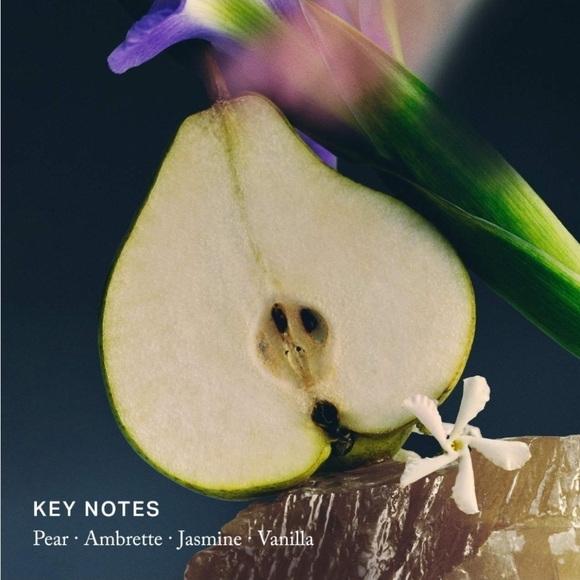 Merit Retrospect - Picture 4 of 7